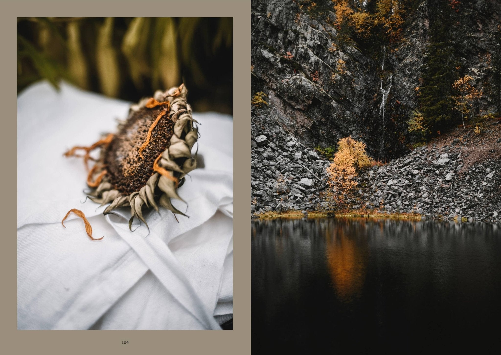 Laudeen | Cozy Publishing | Nordic Magic