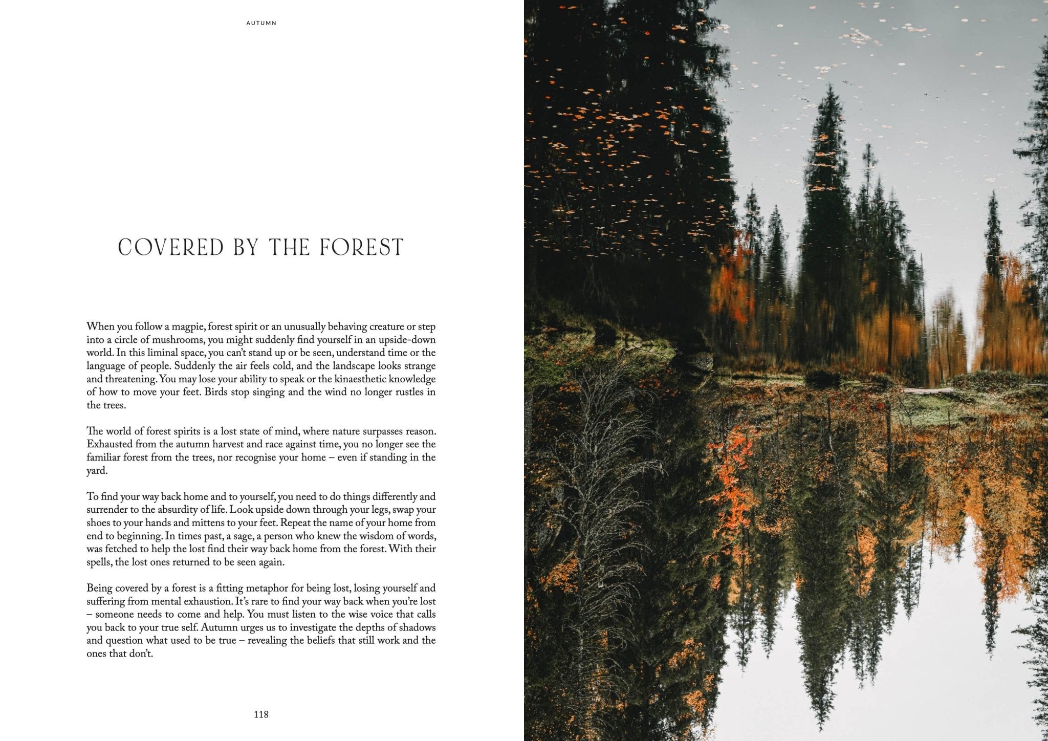 Laudeen | Cozy Publishing | Nordic Magic