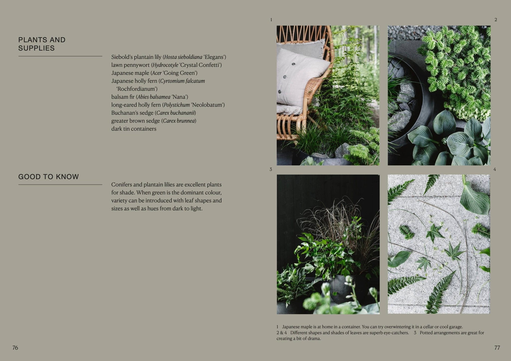 Laudeen | Cozy Publishing | The Potted Garden