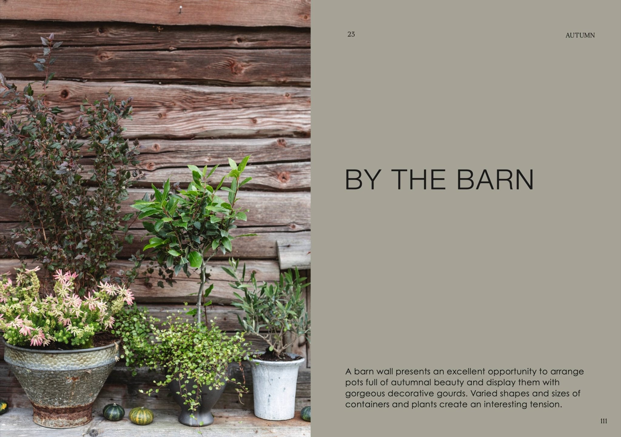Laudeen | Cozy Publishing | The Potted Garden